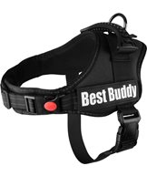 H Sele best buddy pluto svart m