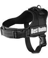 H Sele best buddy pluto svart xl