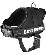 H Sele best buddy pluto svart s