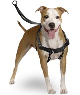 Antidragsele Easy Walker M 35-45cm