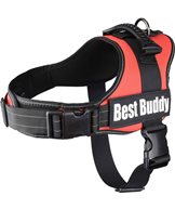 H Sele best buddy pluto röd m