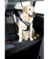 H Sele bil mim safe allsafe krocktestad l