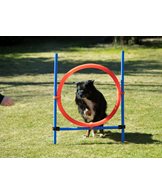 H Bruks agility hoppring set komplett
