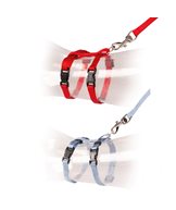 Kitten walking set uni mixed colors 2p