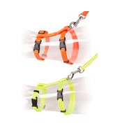 K Sele Cat walking reflex 2p