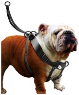 Antidragsele Easy Walker XL 60-90cm