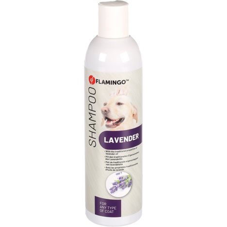 H Vård schampo care lavendel 300ml