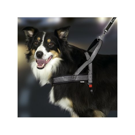 H Sele art sportiv plus stoppad m reflex 52-68 cm