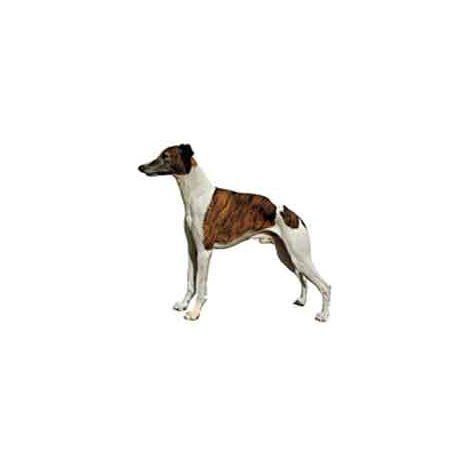 H Dekal whippet hel 2-p