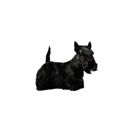 H Dekal scott terrier hel 2-p