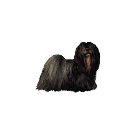 H Dekal lhasa apso mörk hel 2-p