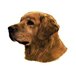 H Dekal golden retriever huv 2-p