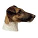 H Dekal foxterrier släthårig huv 2-p