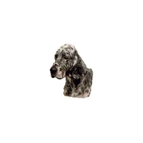 H Dekal engelsk setter huv 2-p