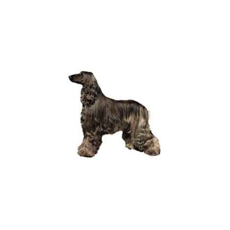 H Dekal afghanhund mörk hel 2-p