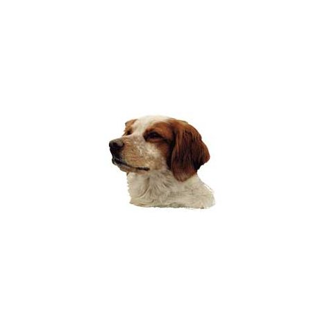 H Dekal bretagne spaniel huv 2-p
