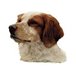 H Dekal bretagne spaniel huv 2-p