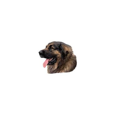 H Dekal liten leonberger huv 4-p