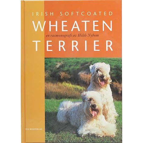 H Bok irish softcoated wheaten terrier