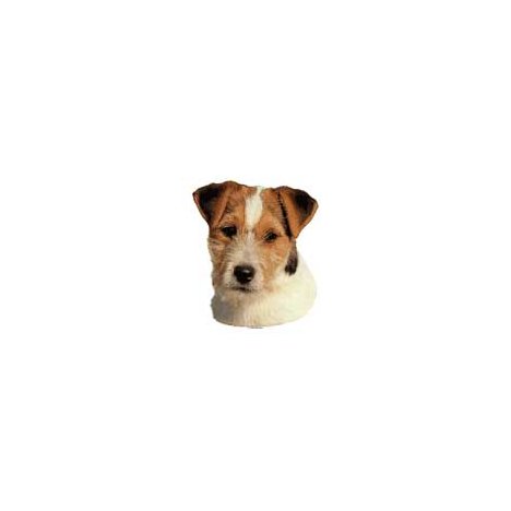 H Dekal liten jack russel huv 4-p