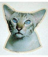 K Dekal siames tabby huv 2-p
