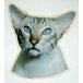 K Dekal siames tabby huv 2-p