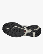 Salomon Xt-6 Lunar Rock/Dark Sapphire/Rubber