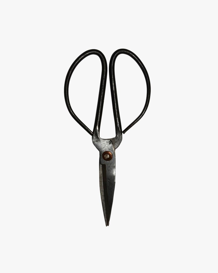 Scissors Medium Black