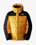 Gold/Black