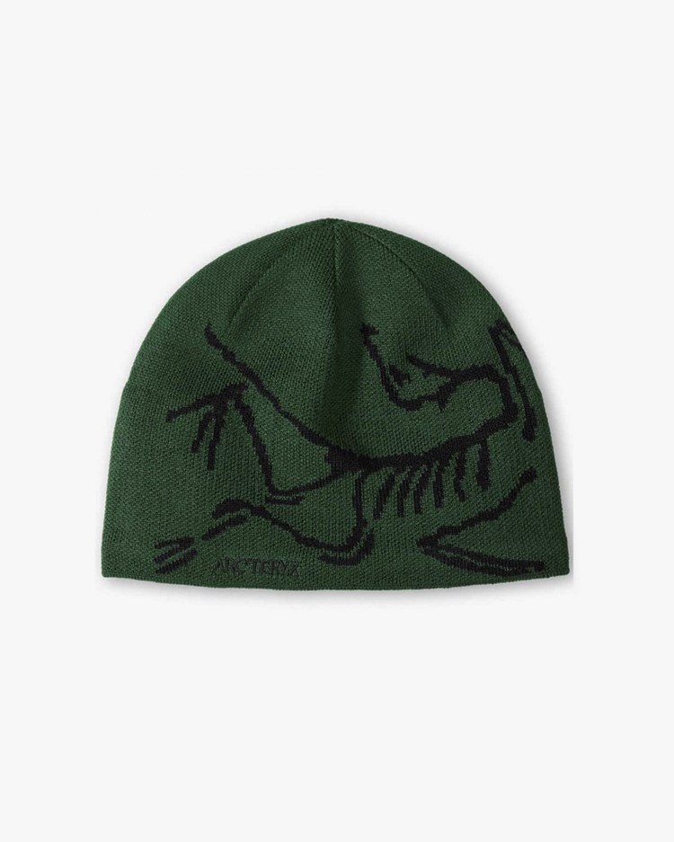 Arc'teryx Bird Head Toque Eden/Black