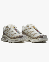 Salomon Xt-6 Vanilla Ice/Iron/Etherea
