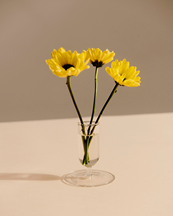 HAY Tiny Vase Clear