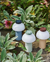 HAY Pc Portable Lamp No 2 Blush Peach