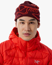 Arc'teryx Bird Head Toque Mars/Dynasty