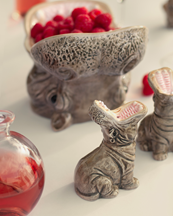 Donkey Hungry Hippos Salt & Pepper Set Grey