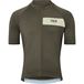 Dark Khaki