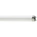 Seca Light Lysrör T5 370lm 8W/840 G5, 288mm