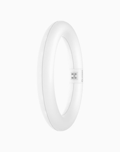 LEDVANCE LED sirkelformet lysrør T9 3000K 1200lm G10q 11W (22W)