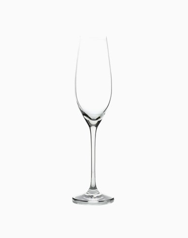 Champagneglas 21 cl 2-pack