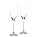 Champagneglas 21 cl 2-pack