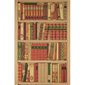 Brunschwig & Fils Tapet Bibliotheque Cognac