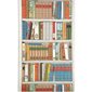 Brunschwig & Fils Tapet Bibliotheque Multicolor