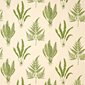 Sanderson Tyg Woodland Ferns Green