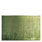 Designers Guild Matta Eberson Grass 160x260 cm