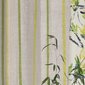 Designers Guild Tyg Brera Nastro Lime