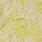Designers Guild Tyg Plum Blossom Acacia