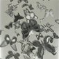 Christian Lacroix Tapet Butterfly Parade Zinc