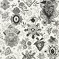 Christian Lacroix Tapet Cocarde Lys