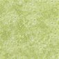 Designers Guild Tapet Botticino Moss