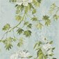 Designers Guild Tapet Floreale Celadon